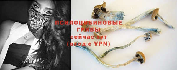 гашик Балахна
