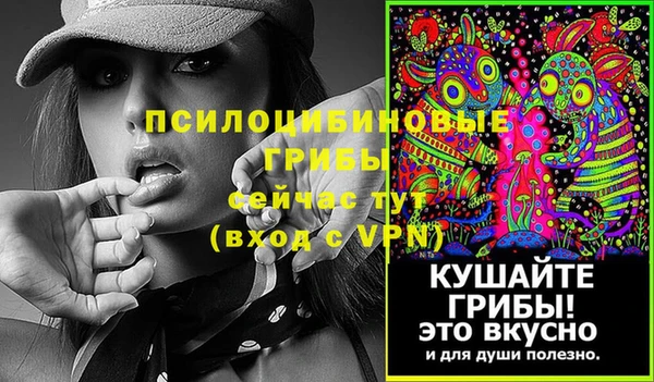 хмурый Балабаново