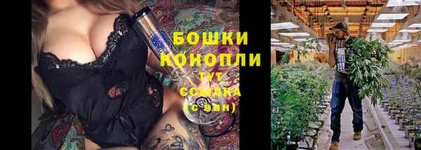 гашик Балахна
