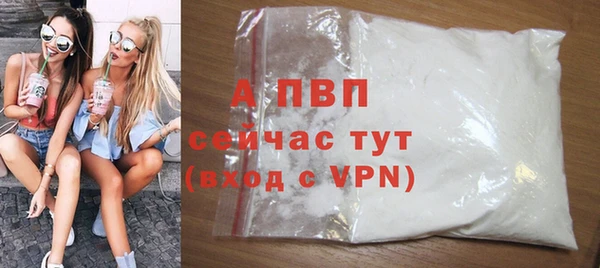 гашик Балахна